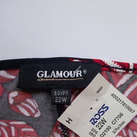 Nwt GLAMOUR 3D Flower Embossed Print Dress Sz 22W - Picture 8 of 9